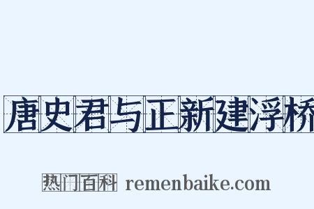 唐史君与正新建浮桥是什么意思的图片